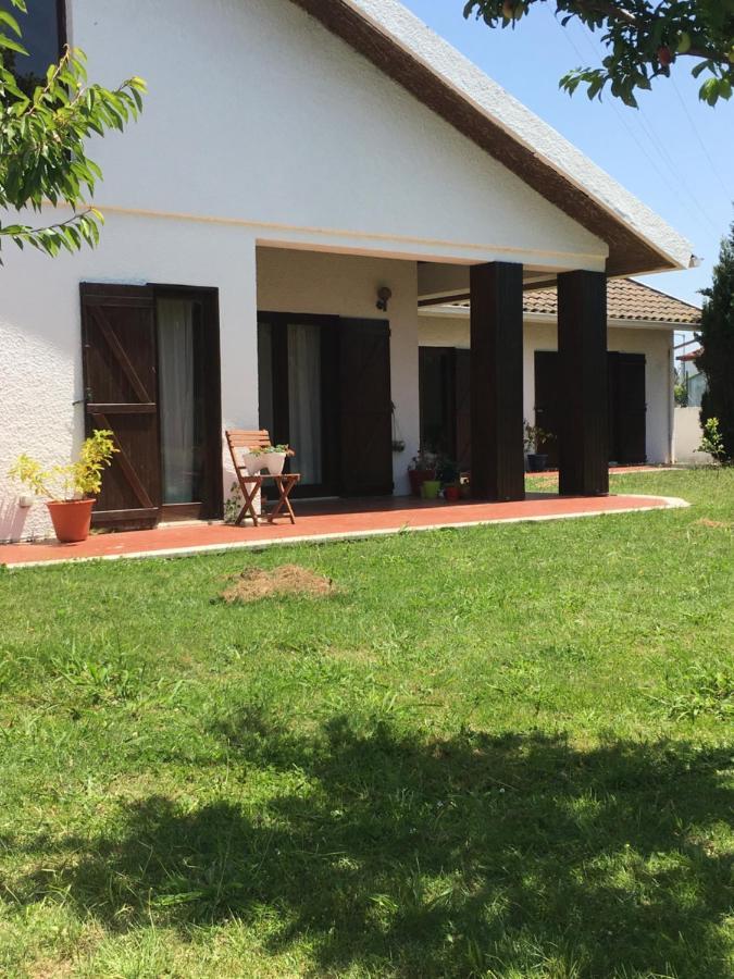 Happy Ria House Hotel Chousa Velha Exterior foto